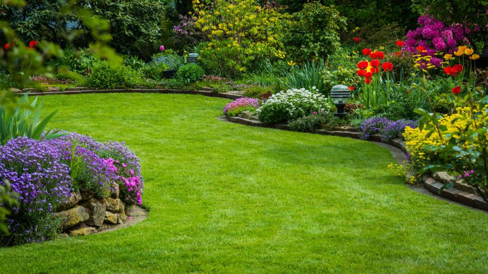 Entretien jardin